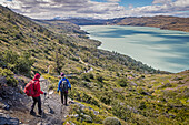 Wanderer beim Wandern, im Hintergrund der Lago Nordenskjöld, Torres del Paine Nationalpark, Patagonien, Chile