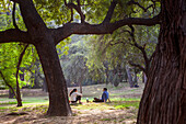 Paar, im Lodi-Garten, Neu-Delhi, Indien