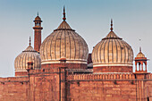 Detail der Jama-Masjid-Moschee, Delhi, Indien