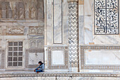 Exterior wall of Taj Mahal, UNESCO World Heritage Site, Agra, Uttar Pradesh, India