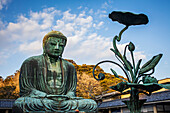 Der Daibutsu (Großer Buddha aus Bronze). Kotoku-in-Tempel, Kamakura, Japan