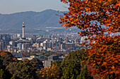 Kyoto. Kansai, Japan.