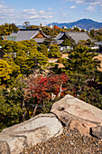Nijo castle,UNESCO World Heritage Site,Kyoto, Japan.