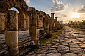 Roman road, in Al-Bass archaeological site, Tyre (Sour), Lebanon.