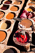 Chouwara tanneries. Fez. Morocco