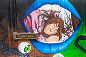 Detail of a painting on a door, Santa Maria street, is part of the project (Projecto arte de portas abertas),This project aims to revitalize the old town , Funchal, Madeira