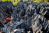 Tsingy de Bemaraha National Park. Madagascar, Africa