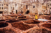 Arbeiter in der Gerberei, Medina, UNESCO-Welterbe, Fes, Marokko, Afrika.