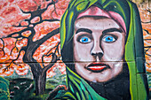 Street art, mural, graffiti, Comuna 13, Medellín, Colombia