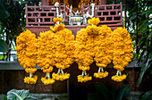 Blumenopfer im Tempel des Jim-Thompson-Hauses und -Museums, Bangkok, Thailand