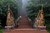 Naga-Treppe, Wat Phra That Doi Suthep-Tempel in Chiang Mai, Thailand