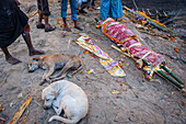 Leiche, die darauf wartet, verbrannt zu werden, im Manikarnika Ghat, dem Verbrennungsghat, am Ufer des Ganges, Varanasi, Uttar Pradesh, Indien.