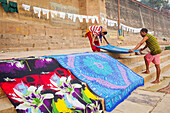 Tending the Laundry for drying, Dasaswamedh Ghat, in Ganges river, Varanasi, Uttar Pradesh, India.