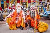 Sadhus begging, in Dashashwamedh Ghat Road , Varanasi, Uttar Pradesh