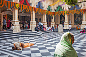 Betende, ISKCON-Tempel, Sri Krishna Balaram Mandir, Vrindavan, Mathura, Uttar Pradesh, Indien