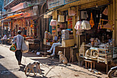 Straßenszene, in Gotam Nagar Straße (Hauptstraße), Historisches Zentrum, Vrindavan, Mathura, Uttar Pradesh, Indien