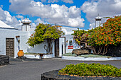 Die Stiftung César Manrique auf der Insel Lanzarote ist das ehemalige Wohnhaus von Cesar Manrique. Heute ist sie ein Museum, spanien
