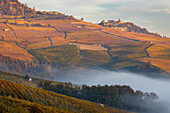 Blick auf La Morra und die Weinberge im Herbst bei Sonnenaufgang, Cuneo, Langhe e Roero, Piemont, Italien, Südeuropa