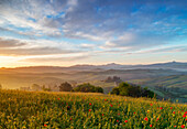 Sunrise at Podere Belvedere, San Quirico d'Orcia, Siena, Tuscany, Italy, Southern Europe