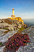 Punta Nariga Lighthouse at sunrise, Costa da Morte, Galicia, Spain, Iberian Peninsula, Western Europe