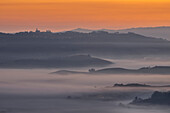 Foggy morning at Diano D'Alba during autumn at sunrise, Cuneo, Langhe e Roero, Piedmont, Italy, Southern Europe