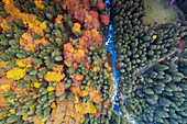 Aerial view of Bagni di Masino in autumn, Val Masino, Sondrio province, Valtellina, Lombardy, Italy, Europe