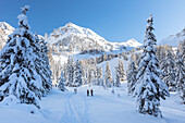 Einige Personen auf einem winterlichen Höhenweg in Villnöss mit dem Zendleserkofel (col di poma) im Hintergrund, Provinz Bozen, Südtirol, Trentino Alto Adige, Italien