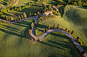 Aerial view of the iconic cypresses road of Monticchiello at sunrise. Pienza, Orcia Valley, Siena district, Tuscany, Italy, Europe.