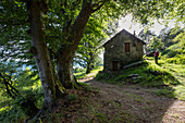 Blick auf die alten Hütten und Almen der Alpe Pian di Runo. Dumenza, Bezirk Varese, Lombardei, Italien.