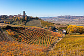 Aerial view of the town and medieval tower of Barbaresco. Barolo, Barolo wine region, Langhe, Piedmont, Italy, Europe.