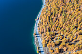 Aerial view of the Sils Lake and it's coastal road in autumn. Sils im Engadin/Segl, Engadin, Switzerland, Canton of Grisons.
