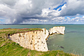 Blick auf die Old Harry Rocks, Kreideformationen in der Nähe von Handfast Point, auf der Isle of Purbeck in Dorset, Jurassic Coast, Südengland.