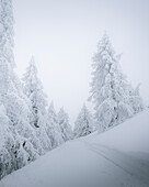 A suggestive view of an alpine road after a recent snowfall in Madesimo, Lombardia, Italy