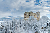 Bruneck, Provinz Bozen, Südtirol, Italien. Das Schloss Bruneck