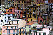 fotografische Nahaufnahme von typischen Häusern in Manarola, La Spezia, Cinque Terre, Italien, Europa, Südeuropa