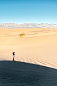USA, California: shadows at sunrise on the Mesquite Dunes in Death Valley National Park