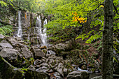 Europa, Italien, Emilia Romagna: einer der Dardagna-Wasserfälle vom Waldweg aus