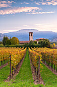 Autumn season in Franciacorta, Brescia province, Lombardy district, Italy, Europe.