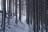 Snow path in Brescia prealpi, Brescia province, Lombardy, Italy, Europe.