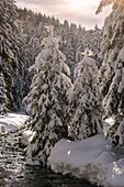 Winter season in Val Palot in Brescia prealpi, Brescia province, Lombardy district, Italy, Europe.