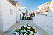 Trulli (typische Häuser) in Alberobello, Itria-Tal, Bezirk Bari, Apulien, Italien