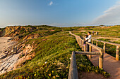 Praia do Amado Strand bei Carrapateira, Aljezur, Faro, Algarve, Portugal, Europa