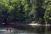 Canoe on the river in te middle of the forest, kouchibouguac national park, new brunswick, canada, north america