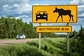 Moose crossing road sign, new brunswick, canada, north america