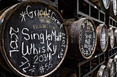 Cask of aging whiskey, the fils du roy distillery, petit-paquetville, new brunswick, canada, north america
