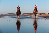 Training of racehorses on the beach of cabourg, cote fleurie, calvados, normandy, france