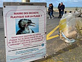 Bürgerinitiative zur Bekämpfung von Plastikmüll am Strand, cabourg, calvados, normandie, frankreich