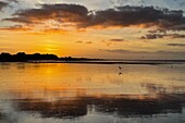 Sonnenuntergang über dem Strand von Cabourg, Calvados, Normandie, Frankreich