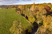 Kuhherde in einer Herbstlandschaft am Ufer der Risle, Rugles, Eure, Normandie, Frankreich