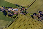 Farm in the countryside in the middle of the fields of grain, la vieille-lyre, eure, normandy, france